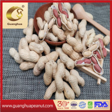 Hot Sale Roasted Peanut in Shell New Crop